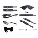 Secret Desires BDSM Kit