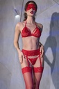 Set Lencería Sexy 5 Piezas Rojo Chilirose CR-4467