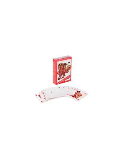 [4029811259434] Cartas de Juego Kamasutra: Divertido Juego de Parejas para Adultos